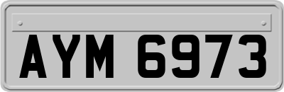 AYM6973