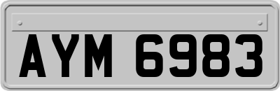 AYM6983