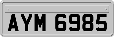 AYM6985