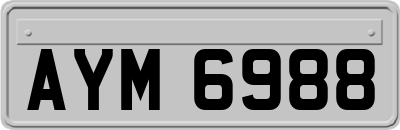 AYM6988