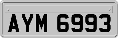 AYM6993