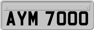 AYM7000