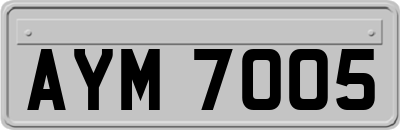 AYM7005
