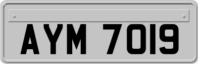 AYM7019