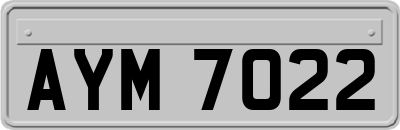 AYM7022