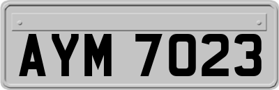 AYM7023