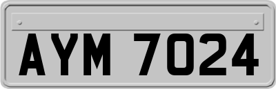 AYM7024