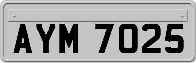 AYM7025