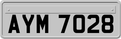 AYM7028