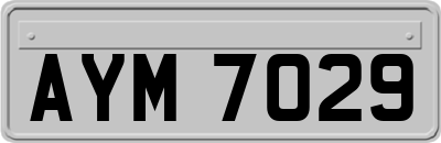 AYM7029
