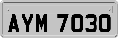 AYM7030