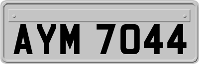 AYM7044
