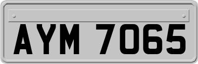 AYM7065