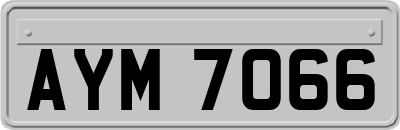 AYM7066