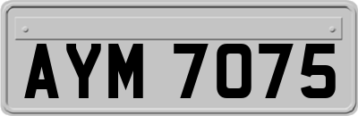 AYM7075