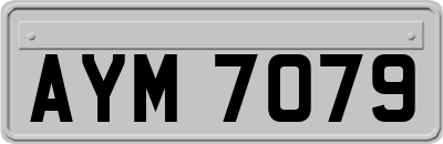 AYM7079