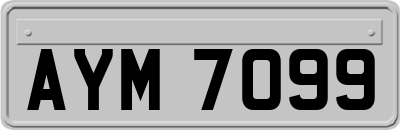 AYM7099