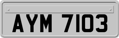 AYM7103