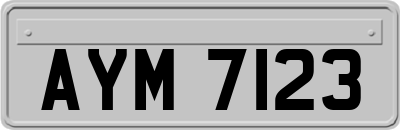 AYM7123