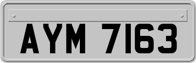 AYM7163