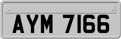 AYM7166
