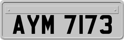 AYM7173