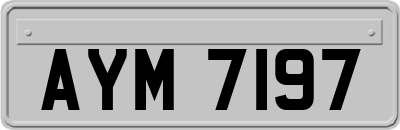 AYM7197