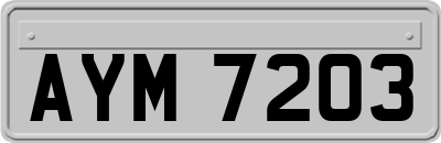 AYM7203