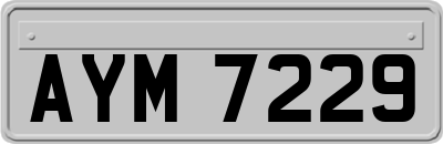 AYM7229