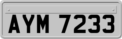 AYM7233