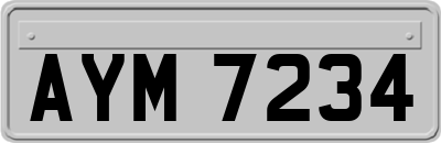 AYM7234