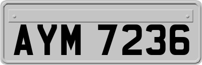 AYM7236