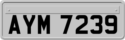 AYM7239