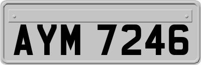 AYM7246