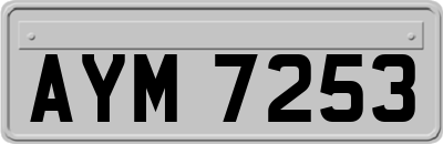 AYM7253