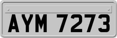 AYM7273