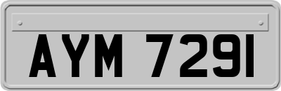 AYM7291