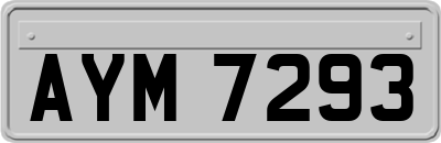 AYM7293