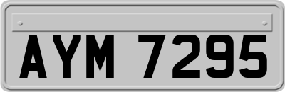 AYM7295