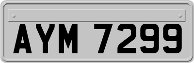 AYM7299
