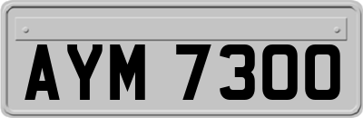 AYM7300