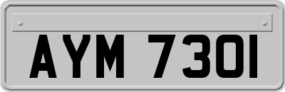 AYM7301