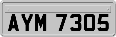 AYM7305
