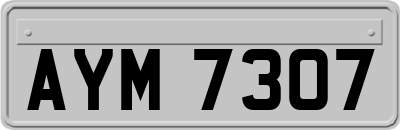 AYM7307
