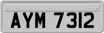AYM7312