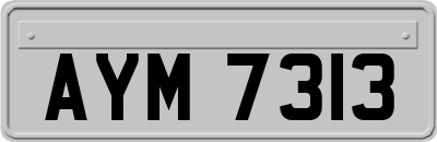 AYM7313