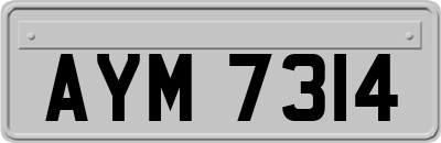 AYM7314
