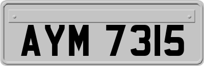 AYM7315