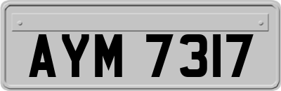 AYM7317