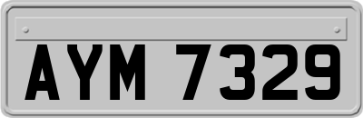 AYM7329